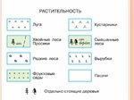 Топографическая карта 8 класс.