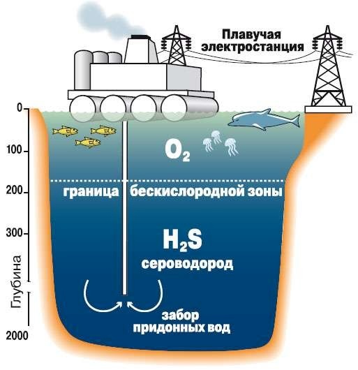 Чёрное море в Новороссийске аномально остыло: где в ...