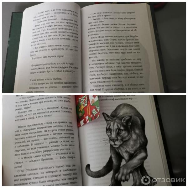 Книга Дети леса Караг и волчье испытание (#7) Катя Брандис ...