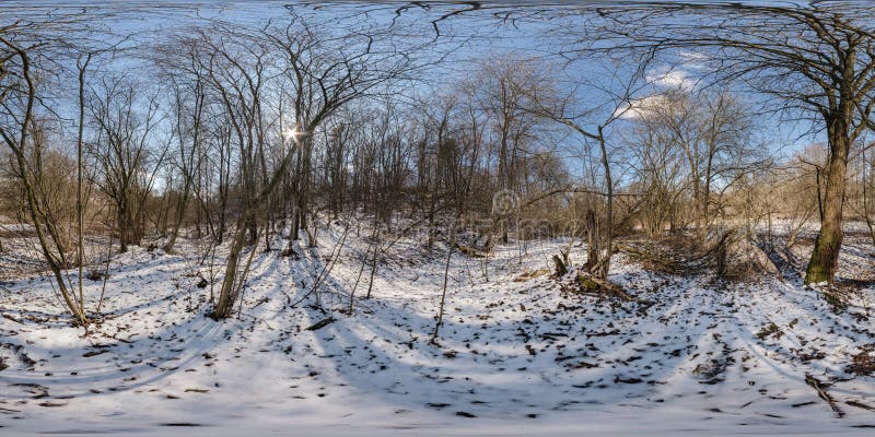 Oak Forest 360 Panorama | 360Cities