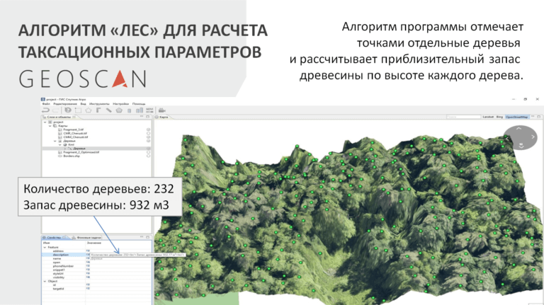 Карта леса | Коты воители