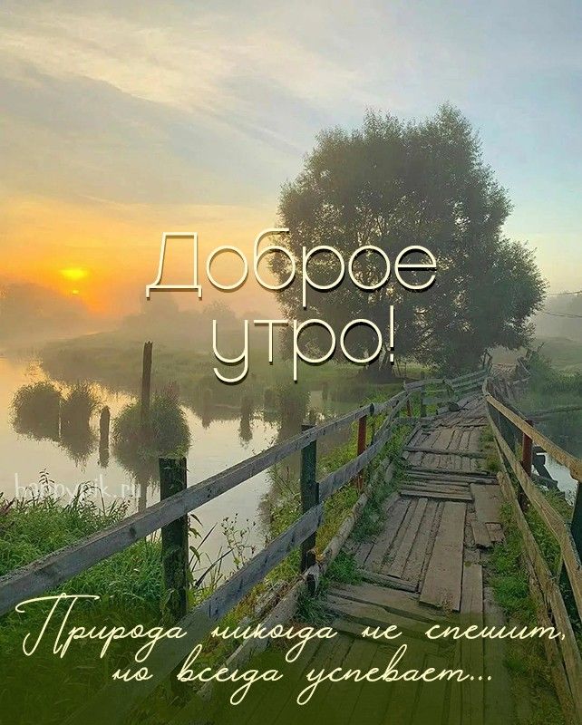 Дождливое летнее утро (66 шт)