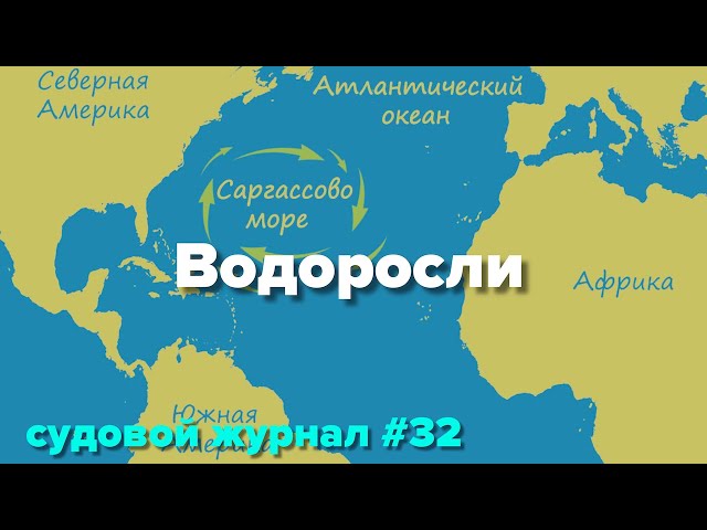 САРГАССОВО МОРЕ как популярное кладбище кораблей и... угрей ...