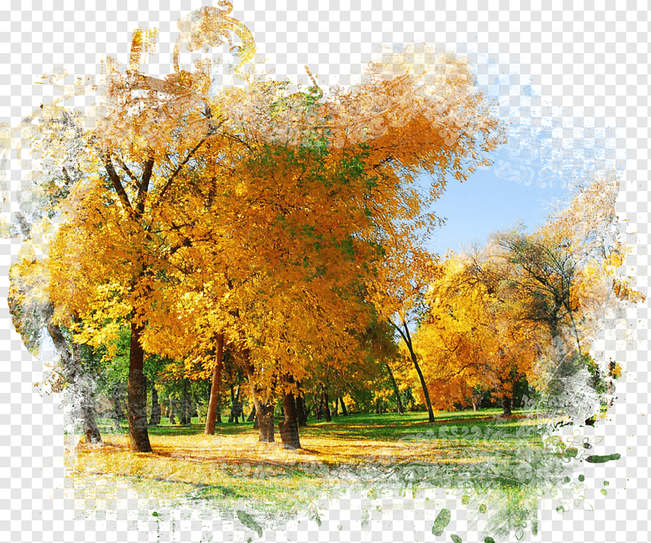 Обои осень, листья, фон, colorful, background, autumn, leaves ...