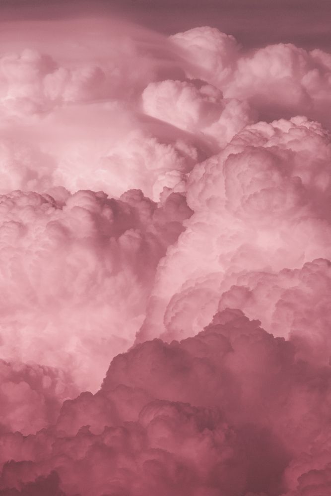 The Pink Cloud: Why You Need to Beware ...