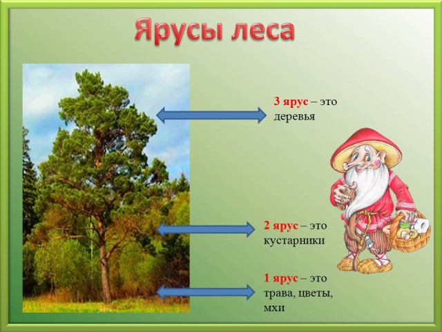 Природные сообщества - Ответы Виноградова 2 класс 2 часть