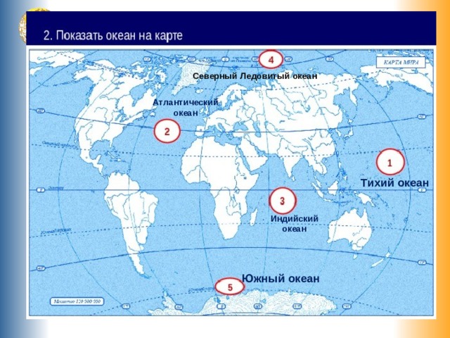 На Красное море надвигается экологическая катастрофы: всему ...