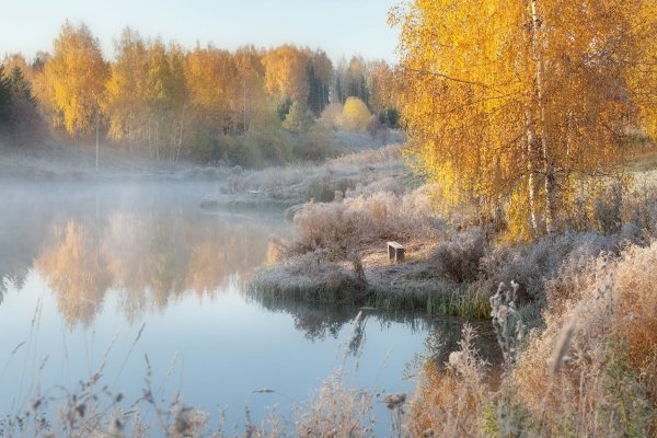 Курточка с-м (холодная осень) — цена 280 грн в каталоге ...