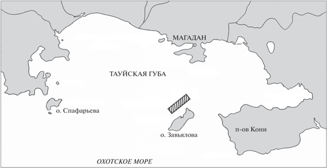 Бухта Нагаева. Охотское море » Главный ...