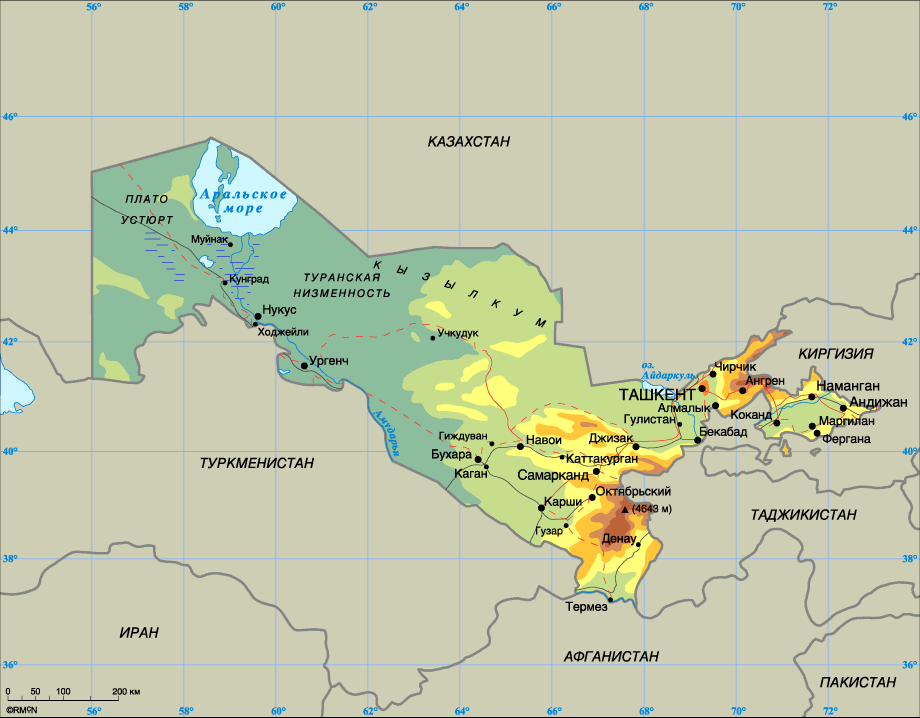 Дневник школьный поролон 