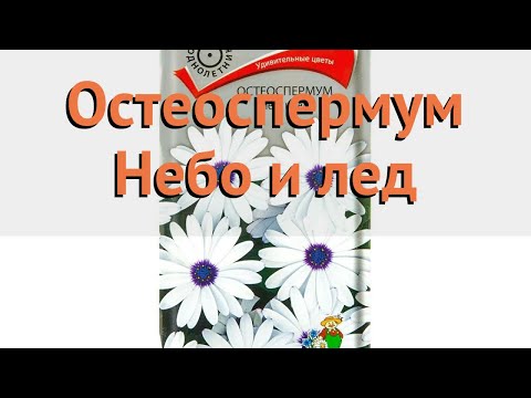 Небо и лед Ц(УД)