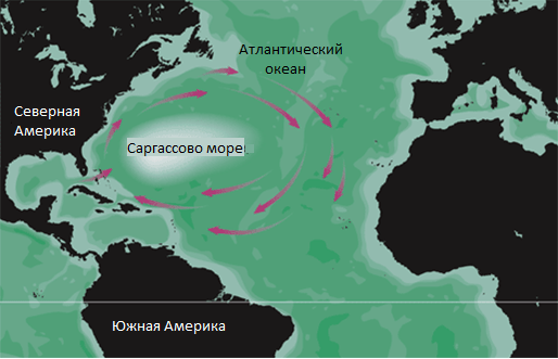 Особенности российских морей | ЕГЭ ОГЭ ...