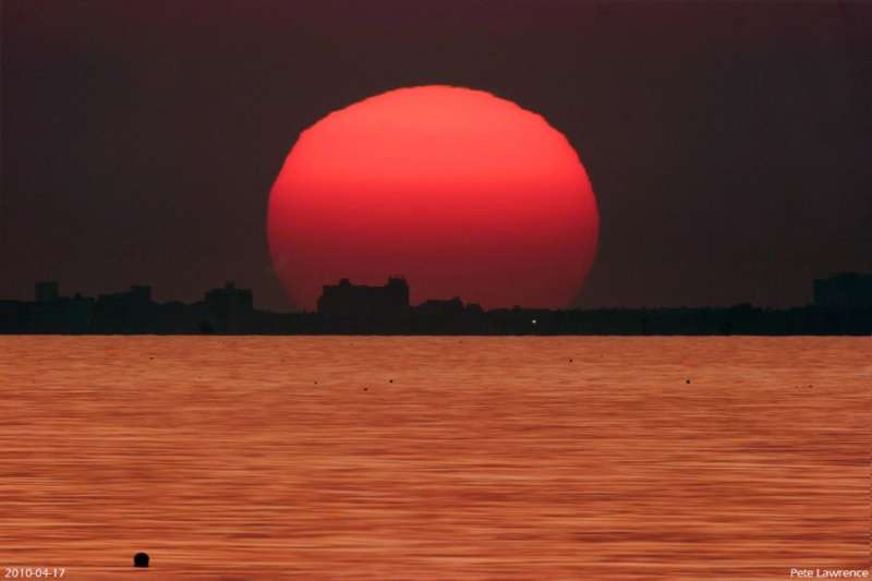 Чайка и солнце, Георгий Дмитриев- картина, рассвет на море ...