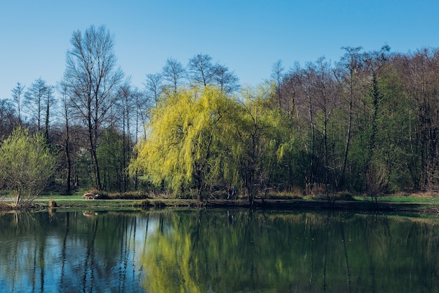 Пейзаж, Природный, Горы, Лес, Река, Вода, Зелень, Солнце ...