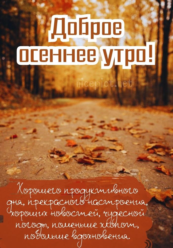 Идеи на тему «Доброе утро - осень ...