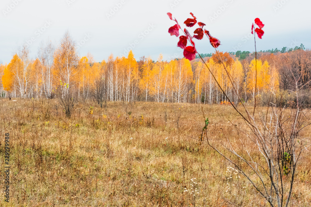 Осень в городах России