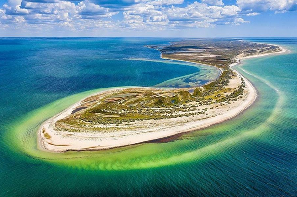 В Анапе Чёрное море превращается в зелёное: цветение за сутки ...