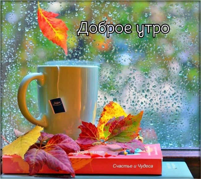 🍁 ⛅ ☕ Картинки С добрым осенним утром - скачать (240 шт.)