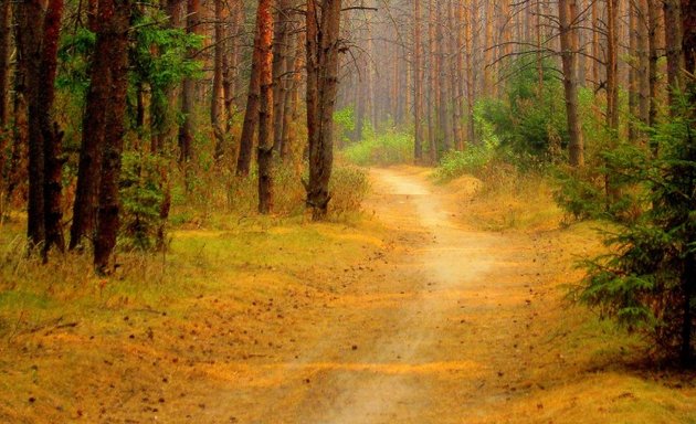 Базы отдыха Великих Лук, Псковская ...