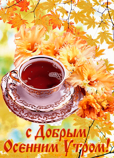 🍂🍁 ДОБРОЕ УТРО, ДРУЗЬЯ! ОТЛИЧНОГО ДНЯ! 🍁🍂 Слышу капает и ...