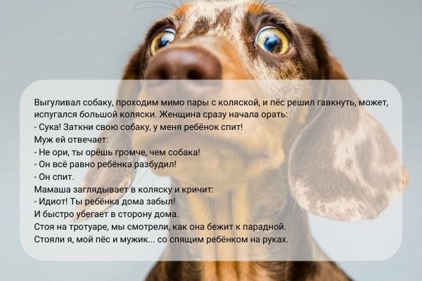 Смешные Приколы Осень Очень Очень ...