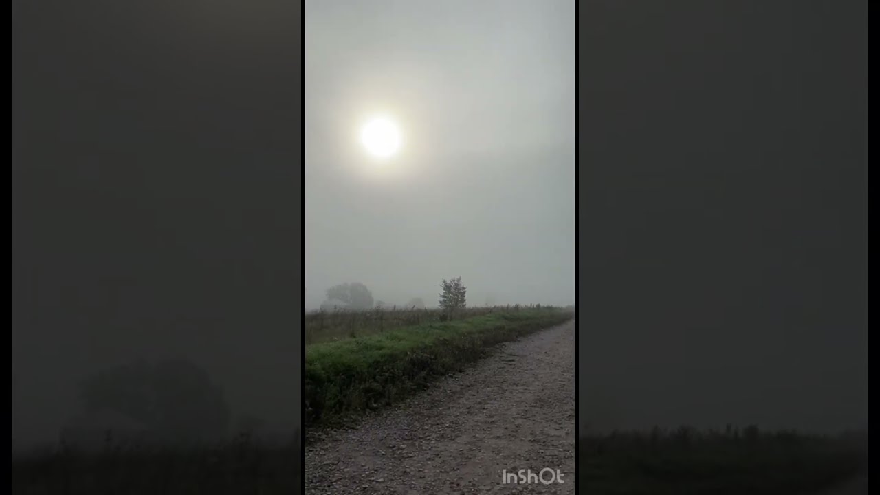 На понедельник в Беларуси объявили желтый уровень опасности ...