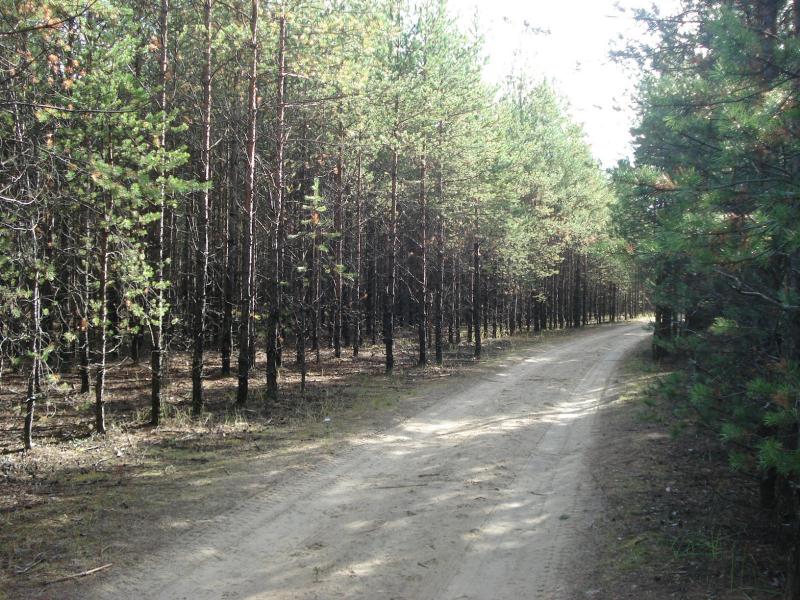 Кострома зимой и осенью: что можно посмотреть самостоятельно ...