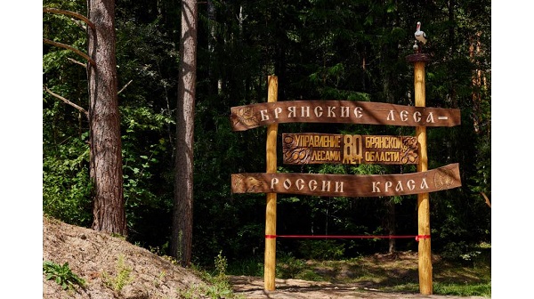 Брянские звери устроили себе пляж ...