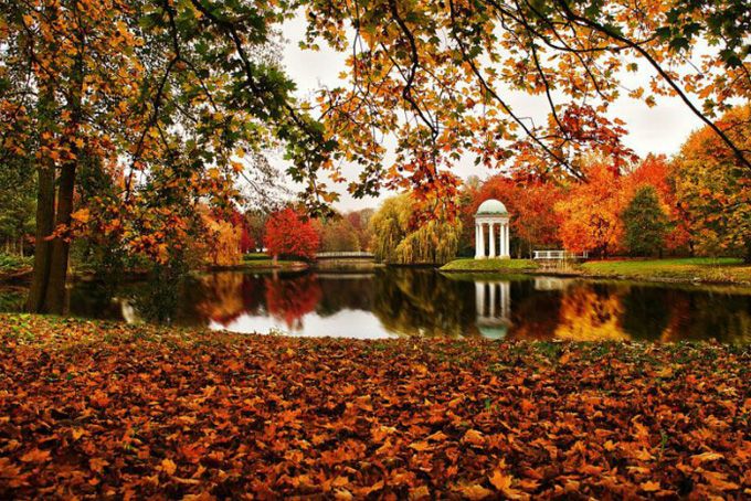 Народные приметы сентября🍂 Сентябрь ...