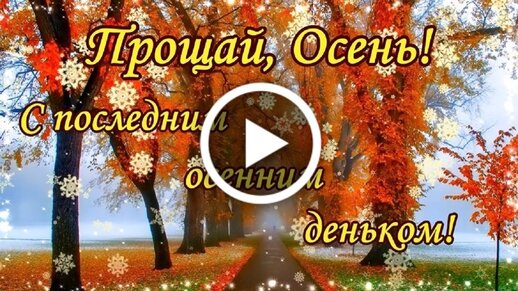 С первым днем осени! Новые картинки и гифки для поздравления ...