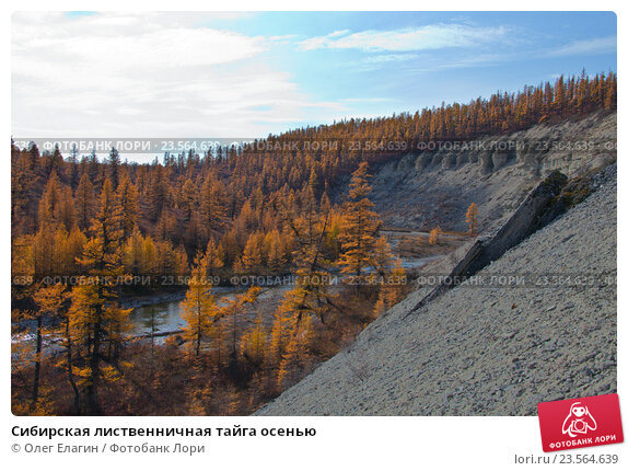 Фотография Большой Соловецкий остров ...