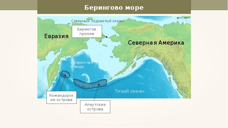 65. Берингово море и залив Аляска | Геопортал Русского ...