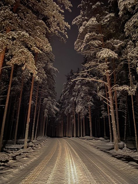 Последний проблеск солнца сквозь метель