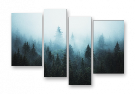 Nature,солнце,Fog in the forest ...