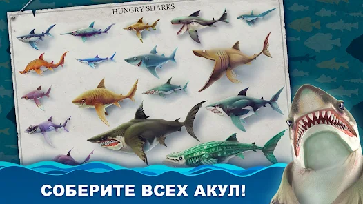 Hungry Shark Evolution — как получить много денег и алмазов