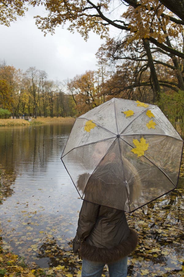 umbrella, прозрачный зонт на свадьбу ...