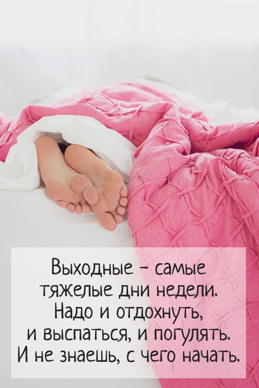 Доброе субботнее утро с котиками: pretty_girl07 — LiveJournal