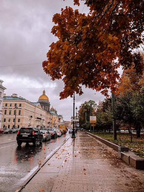 Photopodium.com - Осень в городе, дождь ...