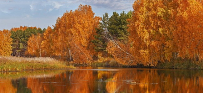 Файл:Левитан Долина реки. Осень.jpg — Википедия