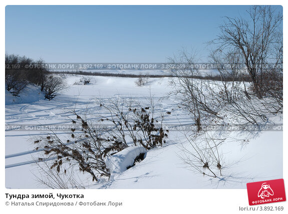 Тундра Парк | Тундра Парк - уникальное ...