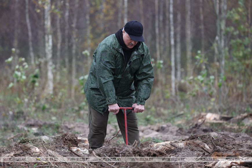 Синоптики дали долгосрочный прогноз погоды на ноябрь в России ...