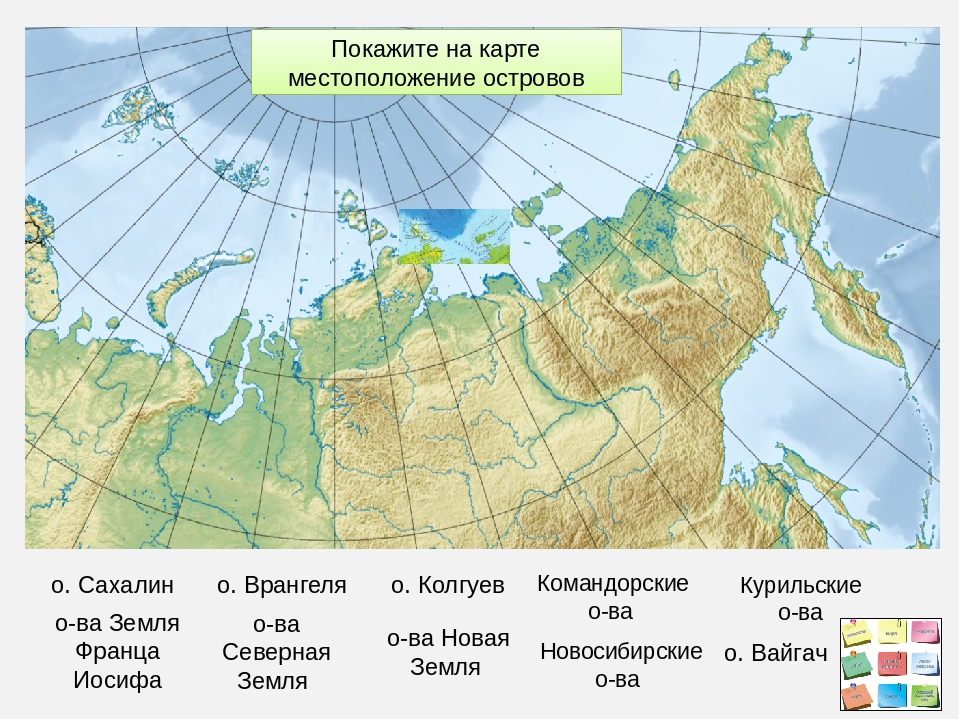 Самое грибное место в России: где находится, сколько стоит ...