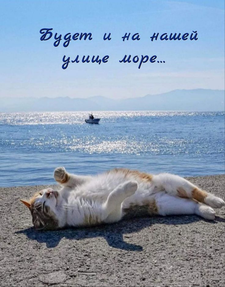 Мемы - на море с друзьями ⛵️ | Facebook