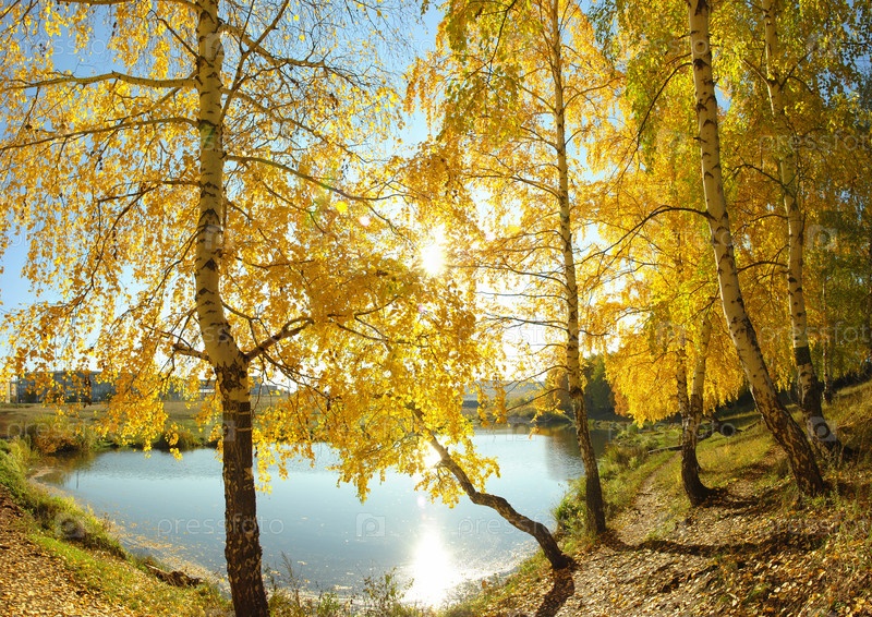 Человек Стоящий На Берегу Реки Осенью И Смотря На Воду ...