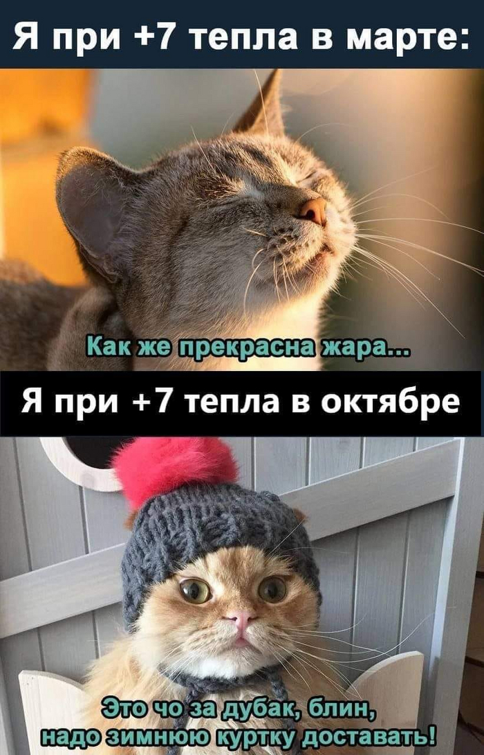 Купить (Толстовка унисекс)Забавные ...