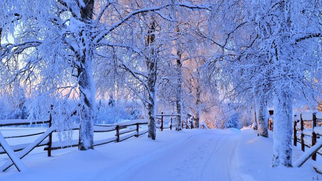 Wallpaper winter, road, forest, the sky, snow, trees ...