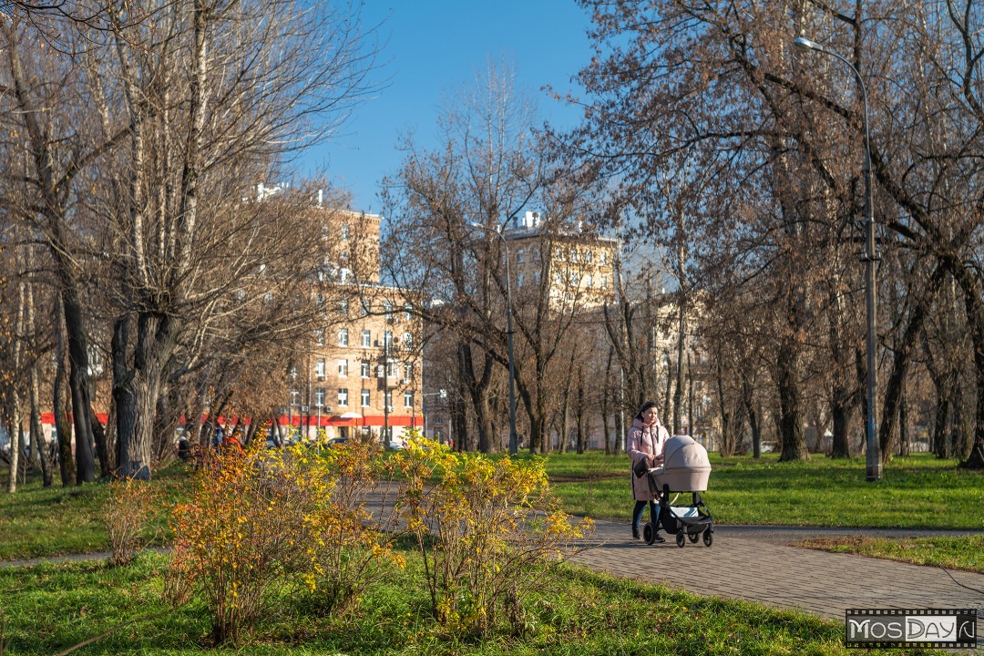 Места для свадебной фотосессии: Топ-14 красивых парков