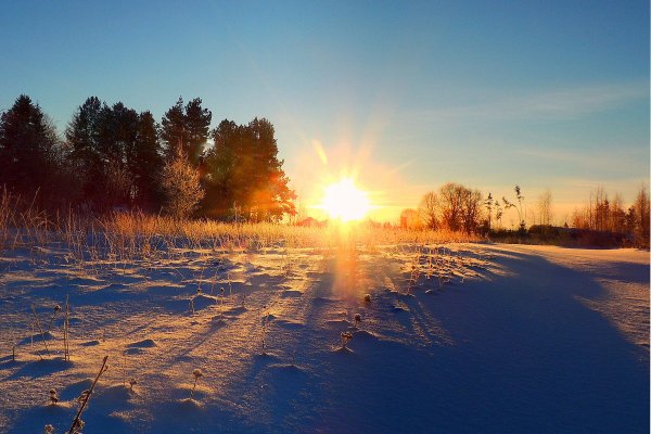 Волшебные лучи зимнего солнца