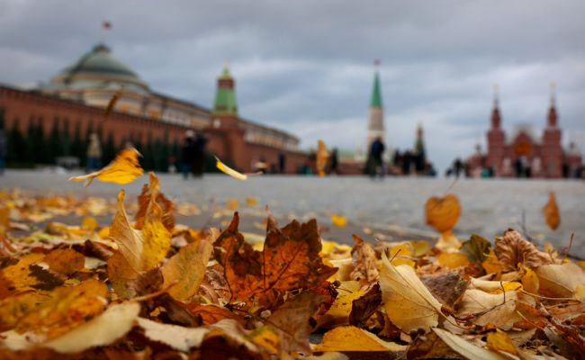 Небольшой дождь и до 8 градусов тепла ...