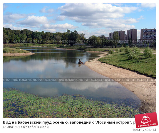 Фотоальбом: прогулка в национальном парке «Лосиный остров»